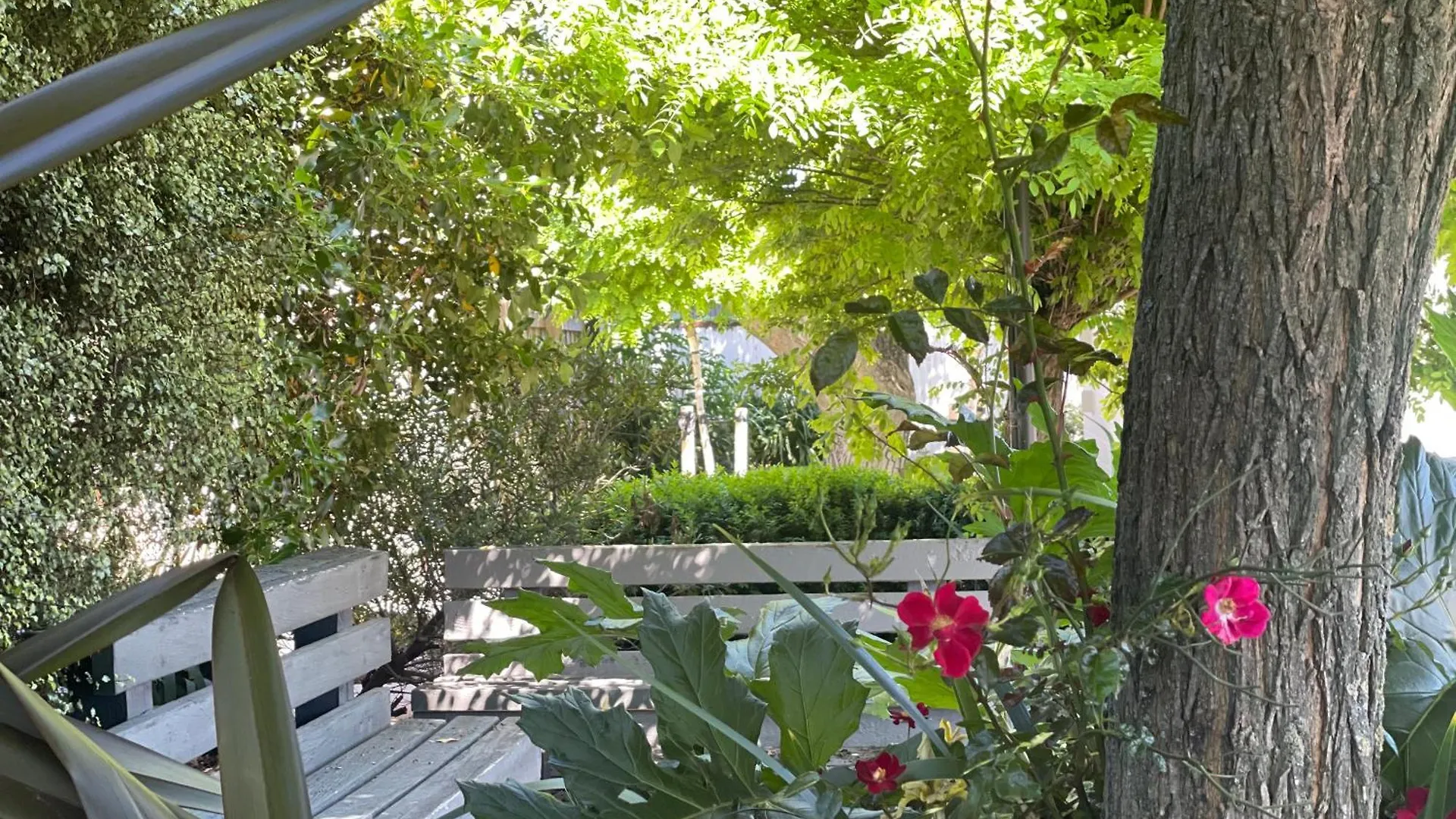 Ashleigh Court Motel-Christchurch Hagley Park 4*, Christchurch